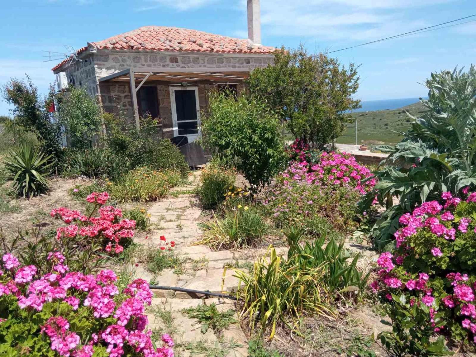 Ferienwohnung Cozy House With Amazing Sea View Kaminia  Exterior foto
